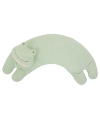 Curved Pillow-Froggy