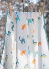 Dinosaur Napping Blanket